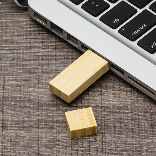 Pen Drive 4GB Bambu - Image 4